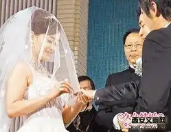 明星结婚年2011年明星结婚大盘点