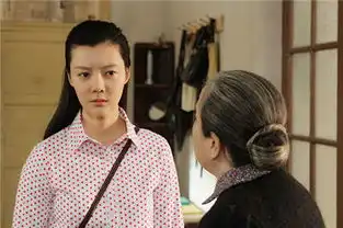 满仓进城卫视将播热血女知青车晓荧屏来袭
