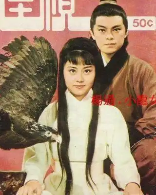 五十年,八个版本的神雕侠侣,哪个版本是你心中的经典
