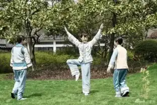 孙俪一言不合就尬舞,不会跳舞的演员不是好演员
