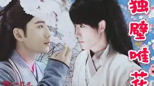 雪落飞花古代abo剧情向he合集含番外2019.11.29已完结
