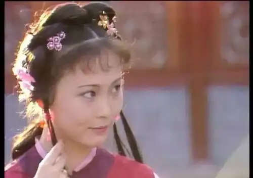 晴雯鸳鸯平儿紫鹃,谁是你心中最美的红楼丫鬟