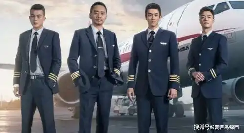 爱国大片成香饽饽细数十大爱国主题电影,甄子丹上榜吴京夺冠