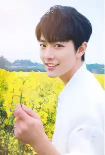 肖战王一博李现胡歌罗云熙杨洋邓伦朱一龙,谁令你茶饭不思