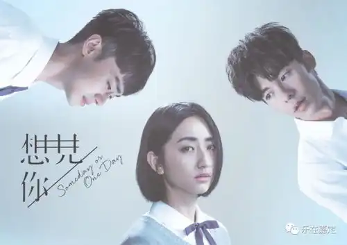 快来聊聊你宅在家里都追了哪些电视剧