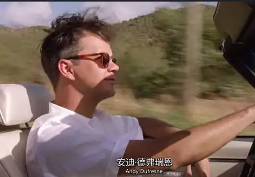 肖申克的救赎为什么称之为救赎因为没有一个人是有罪的
