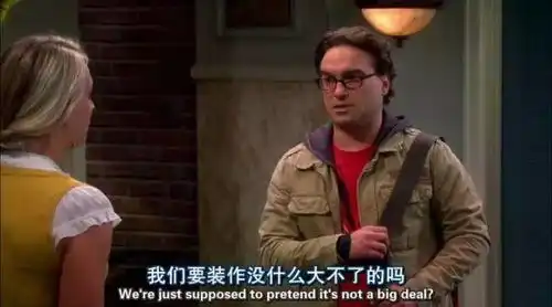 有关于生活大爆炸thebigbangtheory
