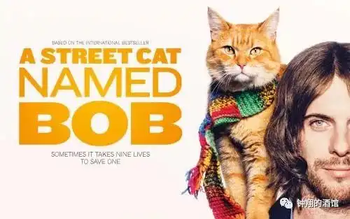 别让你,从它的全世界路过詹姆斯