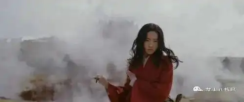 花木兰大量剧照外泄,糙汉子把人丑哭,大波浪是认真的吗
