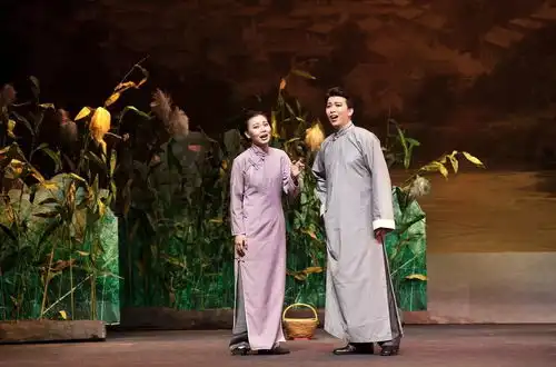 一幅风味浓郁的北平画卷一个大杂院里的温情