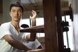 叶问2ipmanverycd电驴大全
