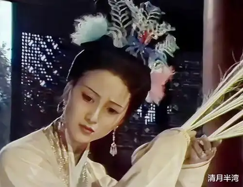 本以为蒋勤勤的西施足够惊艳,看到绝代姿容的董智芝,我改观了