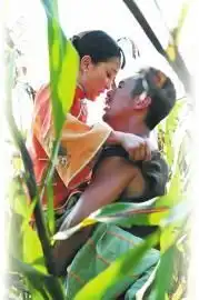 红高粱迎开门红