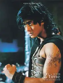 郭富城和郑伊健演的风云是电视剧吗