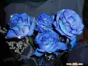 谁能帮我ps一下图片
