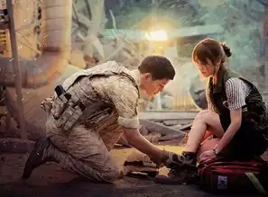 走红的是太阳的后裔遗忘的是国学文化