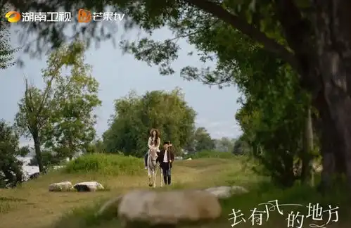 播放量破22亿,连续18天第一,刘亦菲的田园小清新剧太出圈了
