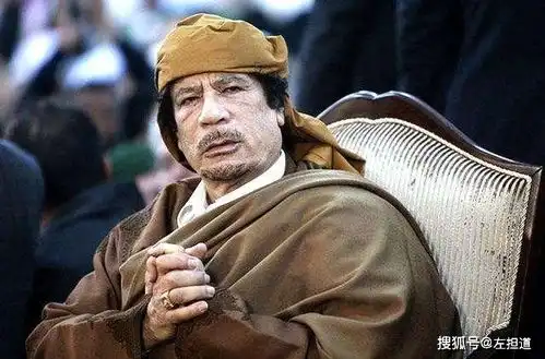曾是利比亚的好兄弟,法国骑墙下不来