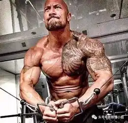 51岁斯坦森巨齿鲨出浴肌肉太美谈强森放豪言打他小菜一碟
