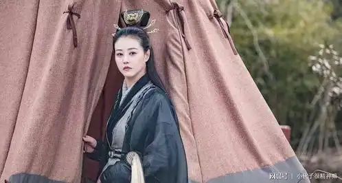 倚天屠龙记中为什么江湖中人只争夺屠龙刀,而不去抢倚天剑
