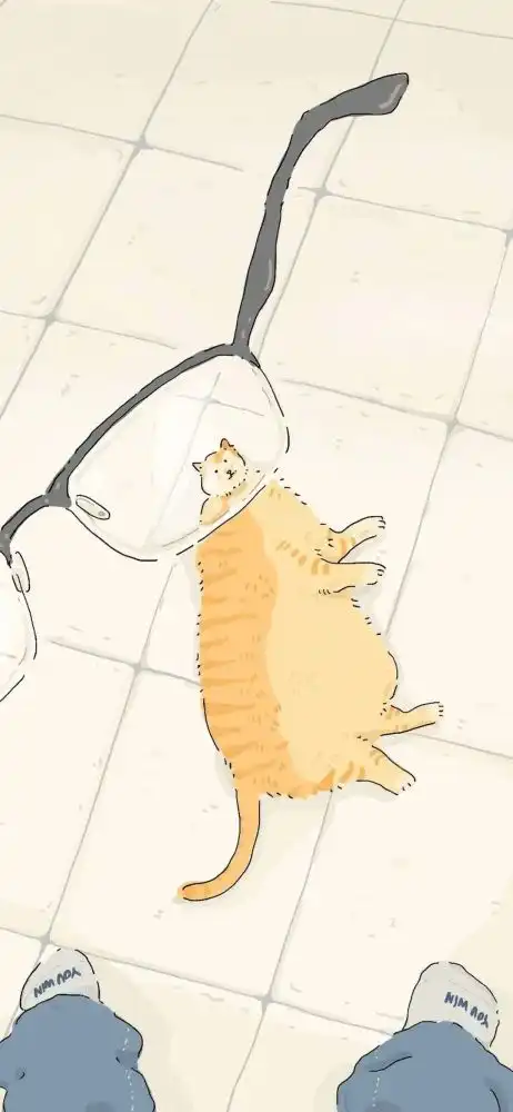 2021.05.29创意插画壁纸
