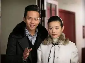 你是我兄弟2010年张嘉译主演电视剧