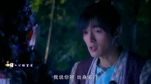 偏爱张芸京音乐视频鉴赏
