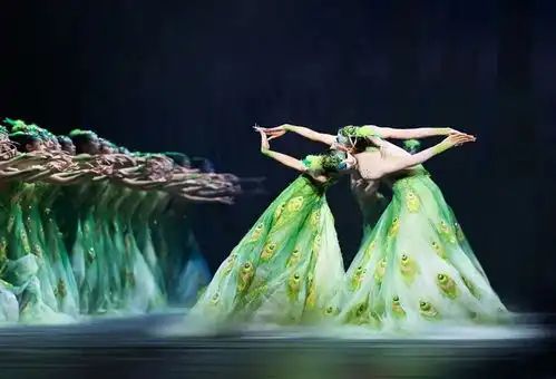 华彩绽放杨丽萍携舞剧孔雀亮相石家庄受热捧
