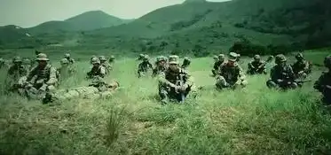 战狼2没看过瘾这些片子更加惊心动魄