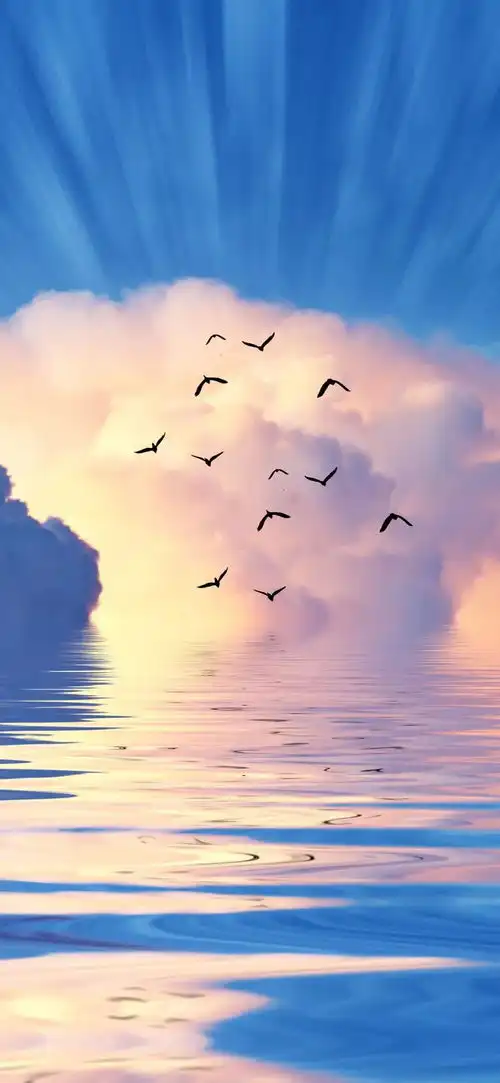 壁纸换一张放空自己的手机壁纸