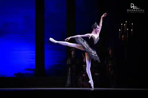 深圳有滋味双语版第29期起舞弄清影,何似在人间
