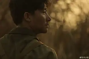 冯小刚曝芳华战争戏6分钟耗资七百万
