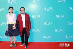 匆匆那年红毯王菲匆匆捧场黑超抢镜
