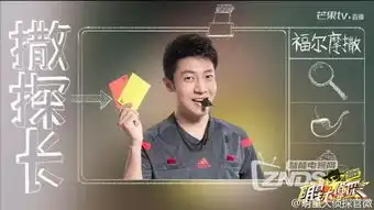 明星大侦探撒贝宁为何被称为狗头侦探
