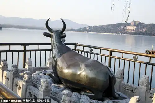 颐和园铜牛