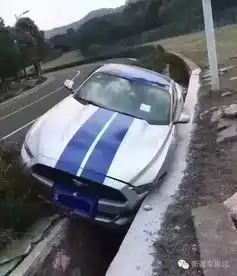 我情愿每天都遇到这样碰瓷的