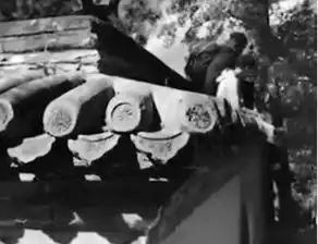 外国游客颐和园翻古墙蹬掉瓦片园方已上报公安