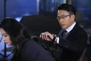 和杉杉来了类似的电视剧,中国的有没有

