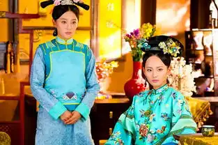 宫锁珠帘里面怜儿二次进宫是怎么回事,怎么又穿宫女的衣服了
