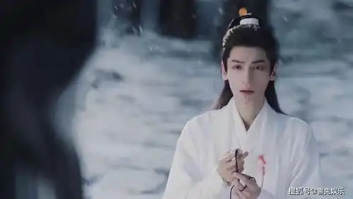 疯狂内卷杀破狼过审后,皓衣行爆剧照网友楚晚宁是润玉2.0吗
