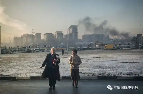 倒计时2天2018pyiff入围影片详解part4