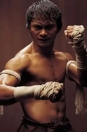 托尼贾tonyjaa
