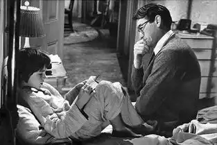 读世界经典名著杀死一只知更鸟爱与勇敢,比提高情商更重要
