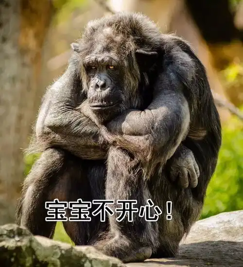 过了今天,唐山气温直接奔三,但雨又要来了

