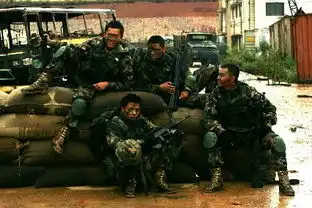 求电视剧我是特种兵剧照要大图