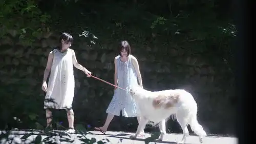 从情书到最后一封信最心痛的是,爱得太迟