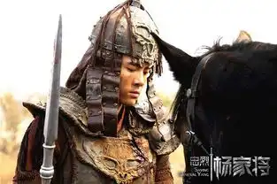 说一说杨家将中二十一位武将的实力排行榜
