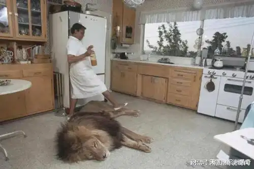 如果人狮狭路相逢,成年男人手持铁棍,能否战胜一只雄狮为什么