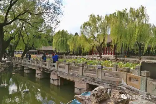 漫谈颐和园谐趣园知鱼桥