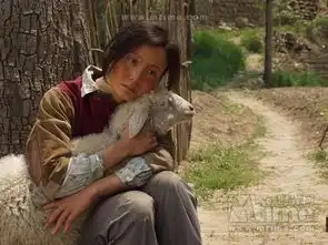 都有什么好看的电影